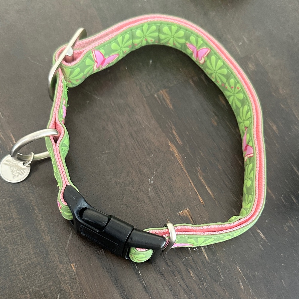 Bark Avenue Green and Pink butterfly Floral Dog Collar